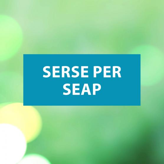 Serse per Seap